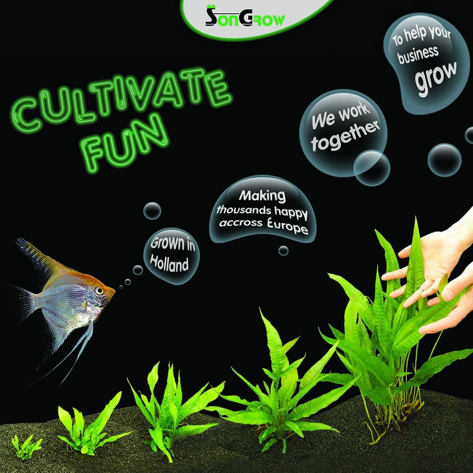 cultivate fun.jpg