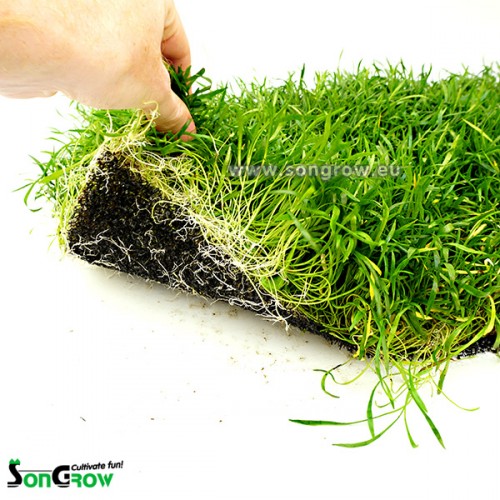 Epaqmat Xxl Songrow